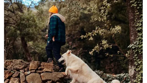 Julien Doré déclame son amour pour la forêt avec humour