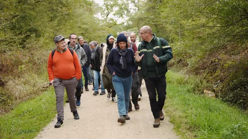« Tous en forêt » : des balades gratuites avec les forestiers de...