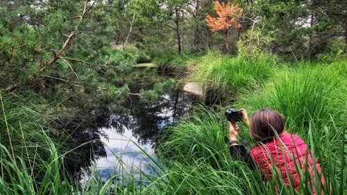 La forêt de Fontainebleau révèle ses secrets aux photographes