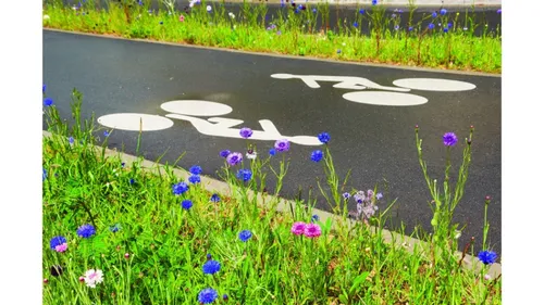 Le Collectif Vélo Île-de-France veut accélérer les aménagements...