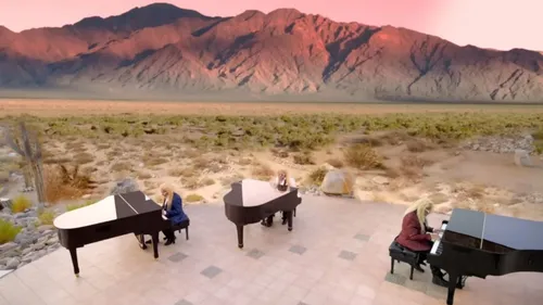 Michel Polnareff révèle avec qui il rêve de chanter 