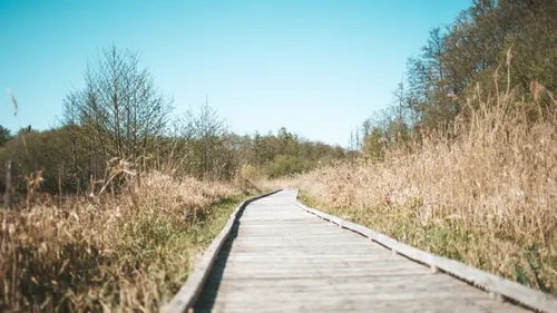 Un marais aux espèces rares ouvert au public à Souppes‑sur‑Loing