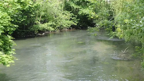 Des micropolluants en quantité dans des rivières des Yvelines