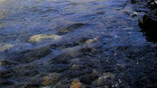 Face à l’assèchement des cours d’eau, la préfecture de...