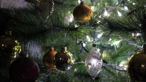 Les Seine-et-Marnais comptent sur les chèques cadeaux pour les...