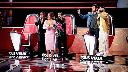 The Voice recueille toujours plus de candidatures 