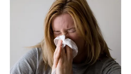 Pollens dans les Hauts-de-France : des pics au printemps et au...
