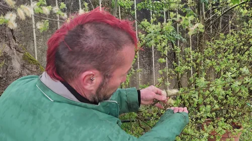 Allergies aux pollens : le pic est attendu fin avril, selon le...