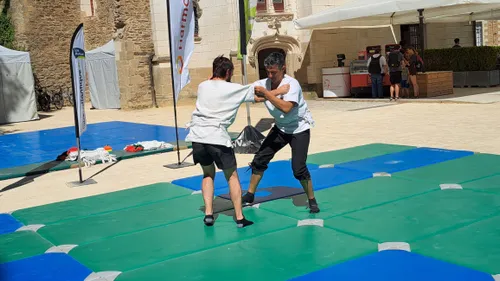 Jeux de Bretagne : le gouren à l'honneur à Nantes
