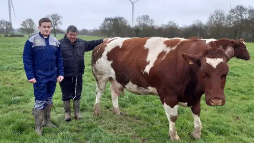 Dans le Maine-et-Loire, les vaches d’Anthony au salon de l’agriculture
