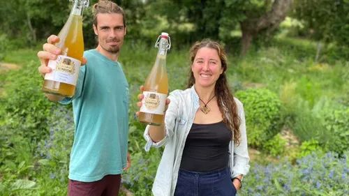En Vendée, ils misent sur la production de kombucha	