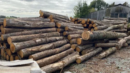 La filière bois veut se développer dans l’ouest