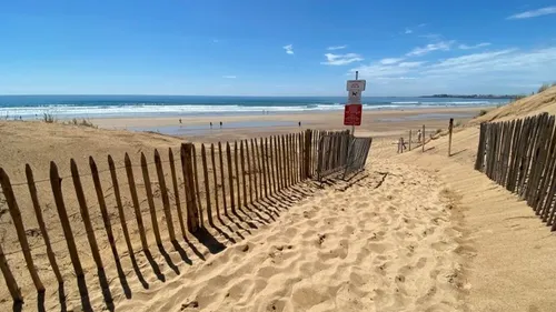 Sur la côte vendéenne, le nécessaire entretien des dunes. 