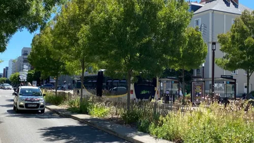 Canicule : Comment avoir moins chaud en ville ?