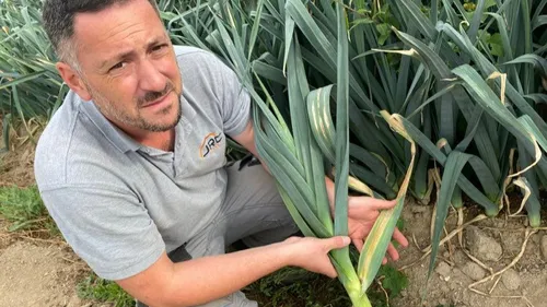 Météo : Près de Nantes, le secteur du maraîchage est inquiet