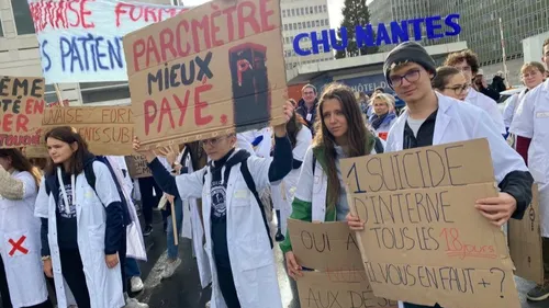 Nantes, Tours, Angers : les étudiants en médecine générale de...