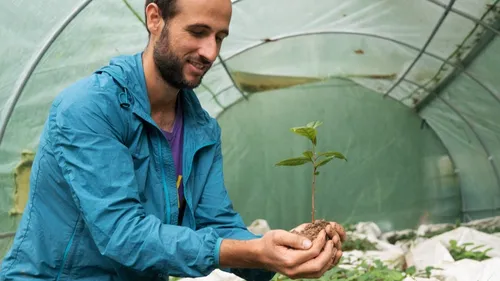 Bouaye. Une plantation de thé bio aux portes de Nantes 