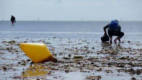 Grandes marées. Des coefficients jusqu'à 101 attendus cette semaine
