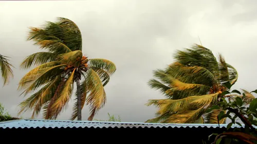 Une Nantaise témoigne après le passage du cyclone Belal à La Réunion