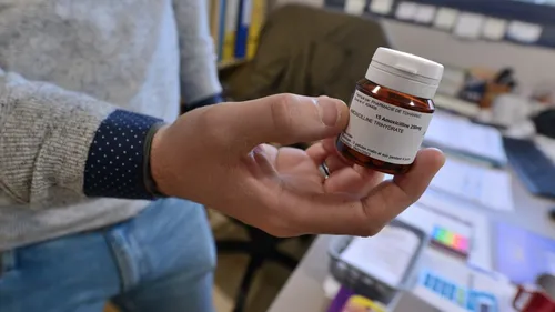 Pénurie. A Vannes, la pharmacie de Tohannic fabrique de l'amoxicilline