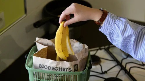 Parmi les changements du 1er janvier 2024, le tri des biodéchets...