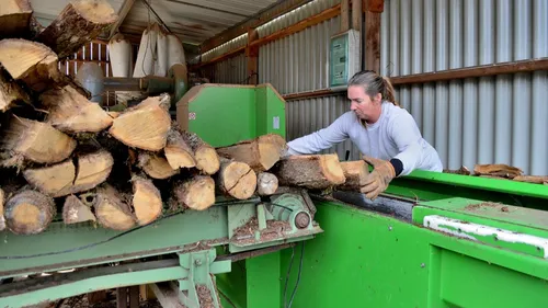 La forte demande des Français en bois de chauffage !