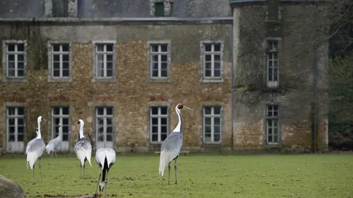 Branféré, nouvel adhérent de "Produit en Bretagne" prépare sa saison