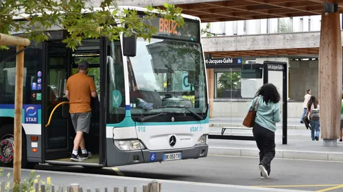 Des chauffeurs de car sans permis, en Pays de la Loire
