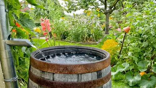 Sécheresse. Un sénateur ligérien prône la baisse de la TVA sur les...