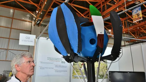 Buzz. Quimper capitale européenne de l'apiculture ce week-end