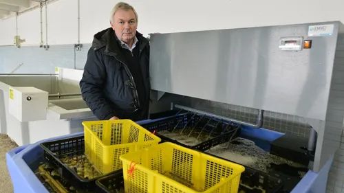 Norovirus : une expérimentation lancée pour purifier l'eau des...