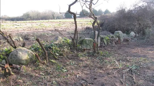Polémique sur les menhirs de Carnac. "Ni erreur, ni négligence"...
