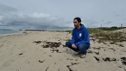 La nidification des gravelots : attention où vous marchez sur les...