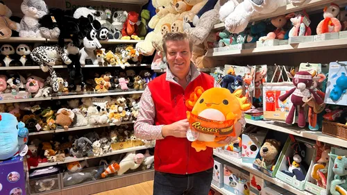 Bretagne : focus sur les tendances de Noël 2023