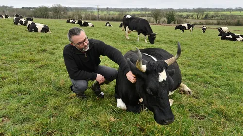 Retour en grâce : les races bretonnes au Salon de l'Agriculture !