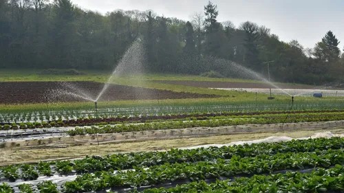 Sécheresse : l'inquiétude grandit dans le milieu agricole