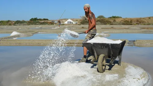 Guérande. Cet été, on manque d'eau et de moutarde, mais on ne...