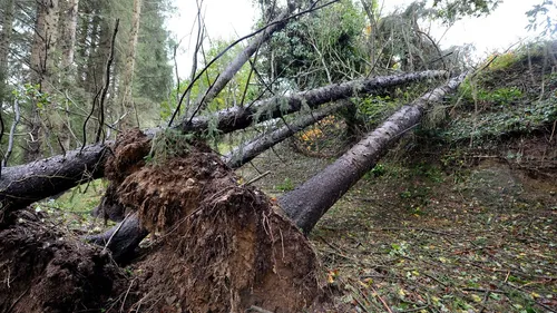 Tempête Ciaràn : la maire de Paimpol réagit après 5 jours sans...