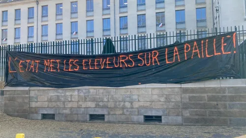 Nantes. L'Etat met les éleveurs de volailles sur la paille