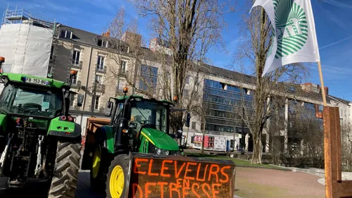 Nantes. L'Etat met les éleveurs de volailles sur la paille