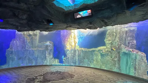 Grand Aquarium de Saint Malo : une idée de sortie pour petits et...