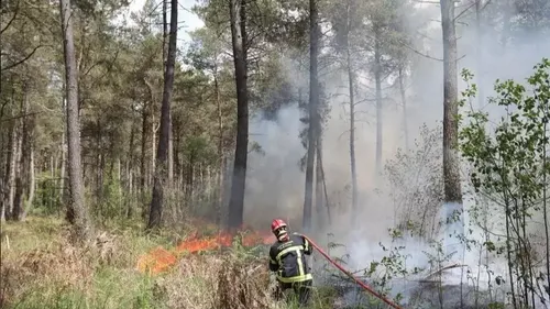Il fait chaud et sec, attention aux feux de forêts !
