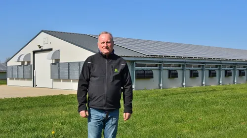 Grippe aviaire : moins de magret de canard sur les étals !