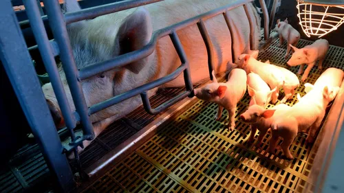 Les Assises de l'Agriculture et de l'Alimentation ouvrent demain, à...