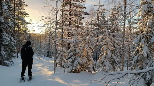 Bretons de l'Etranger : Morgane emmène les touristes sur sa...