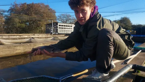 Du caviar sur la table de Noël, made in Guérande !