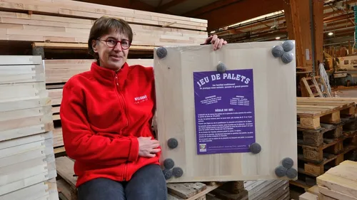 Journée spéciale Noël : Mécabois, le concurrent breton de Kapla,...