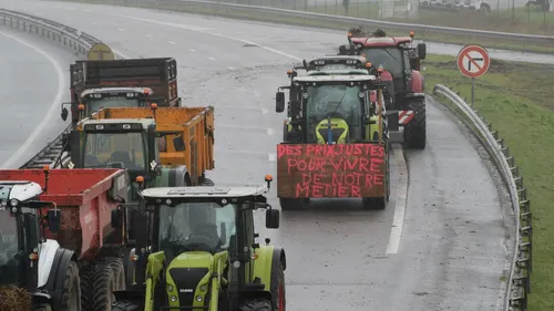 Agriculteurs : avis divergents selon les syndicats bretons FNSEA,...