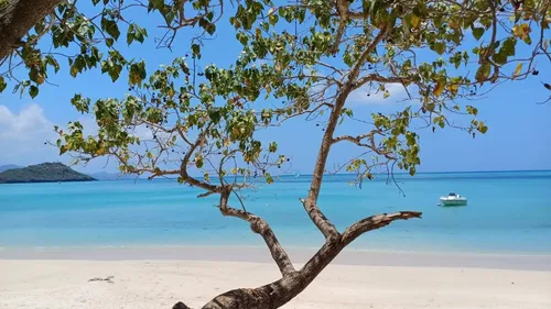 Bretons de l'Etranger. Sylvaine a choisi Mayotte pour une mission...