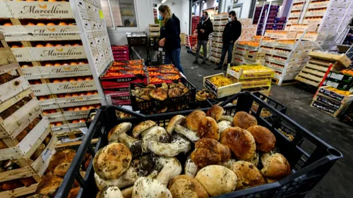 Le MIN de Nantes veut agir pour une alimentation durable